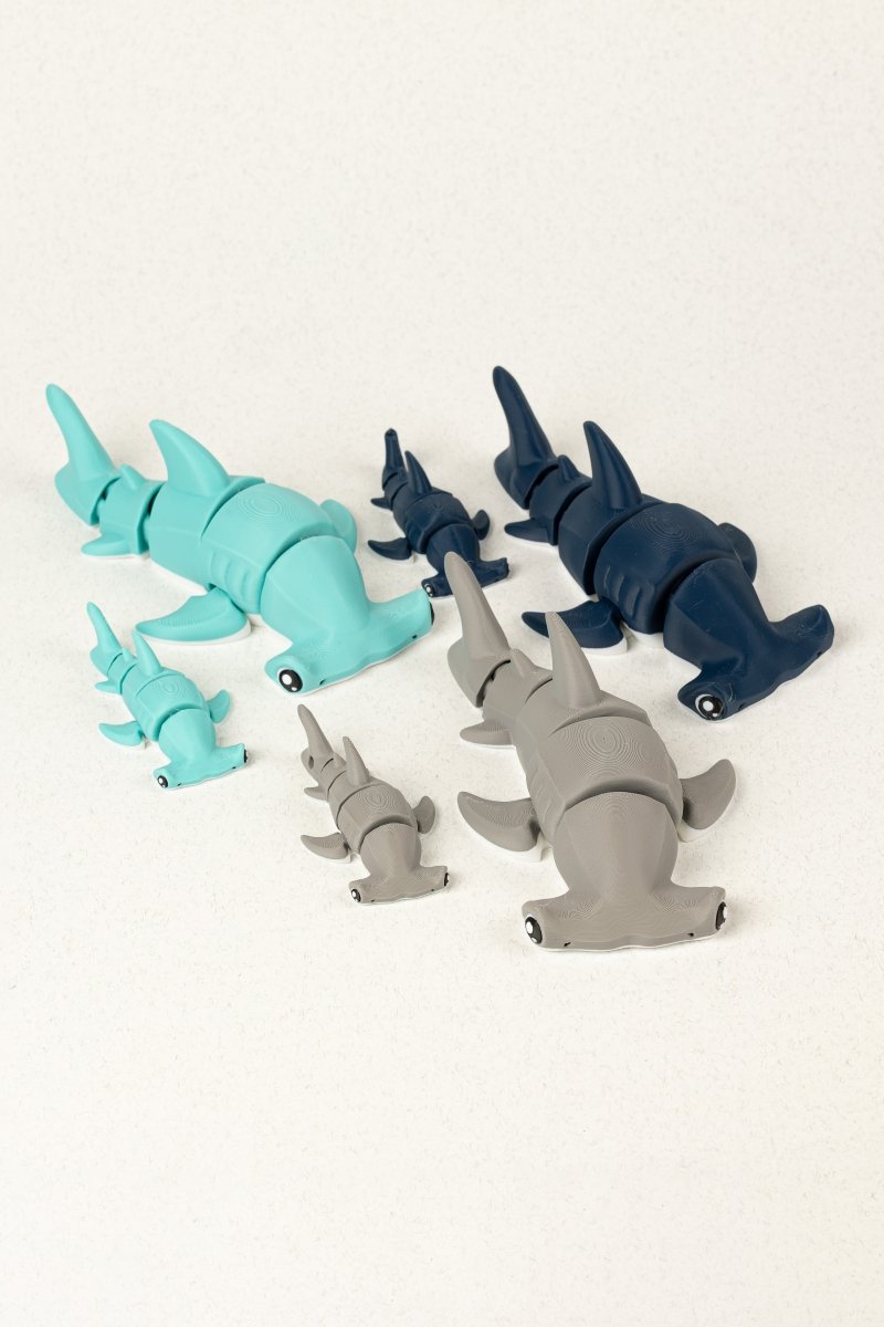 Акула молот - Education Cards