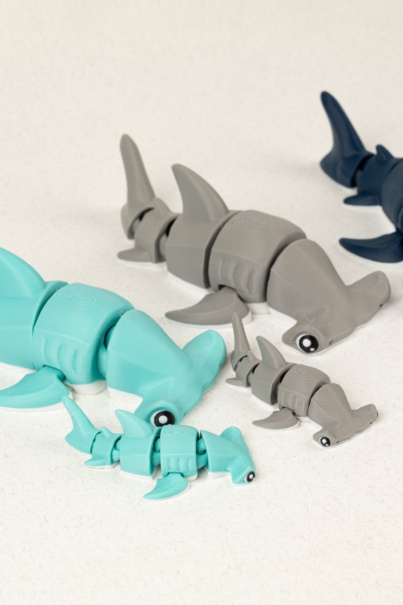 Акула молот - Education Cards