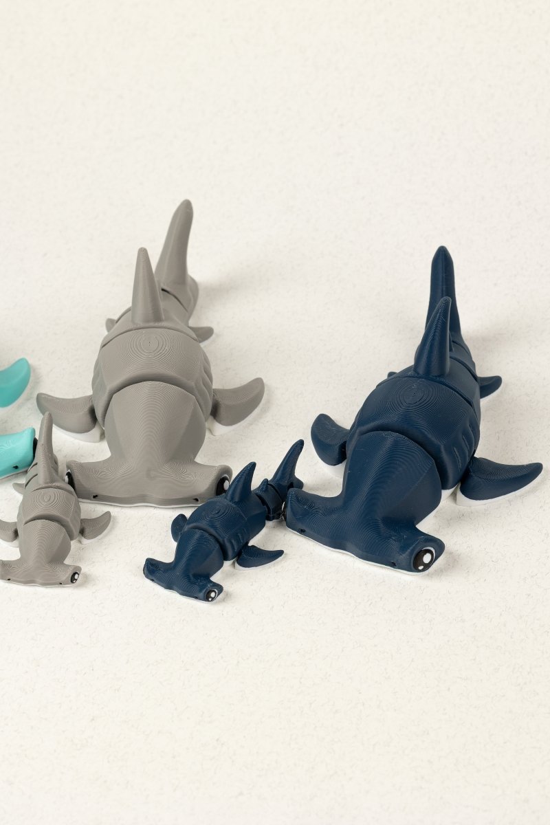 Акула молот - Education Cards