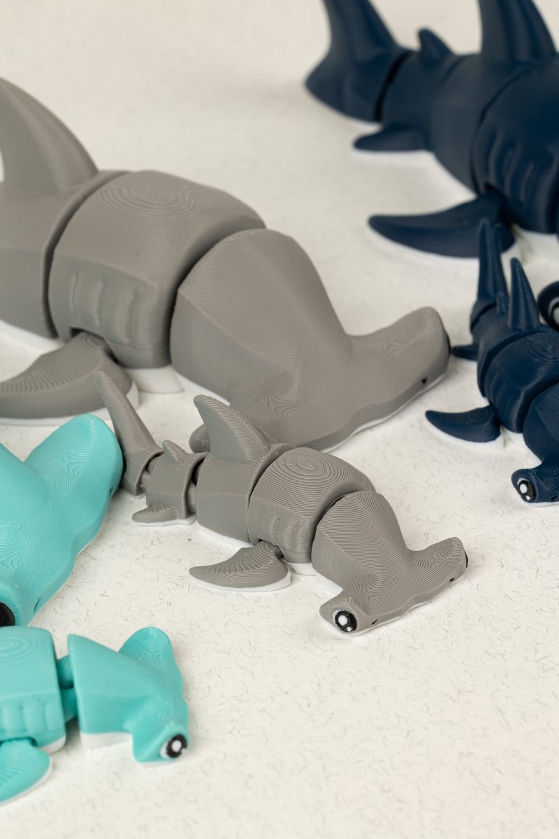 Акула молот - Education Cards