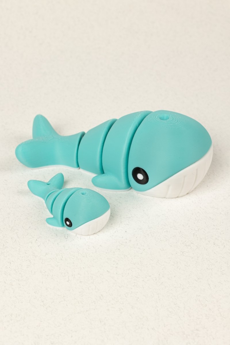 Родина китів - Education Cards