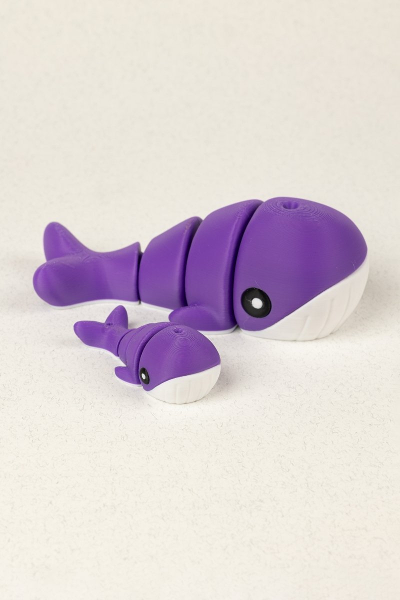 Родина китів - Education Cards