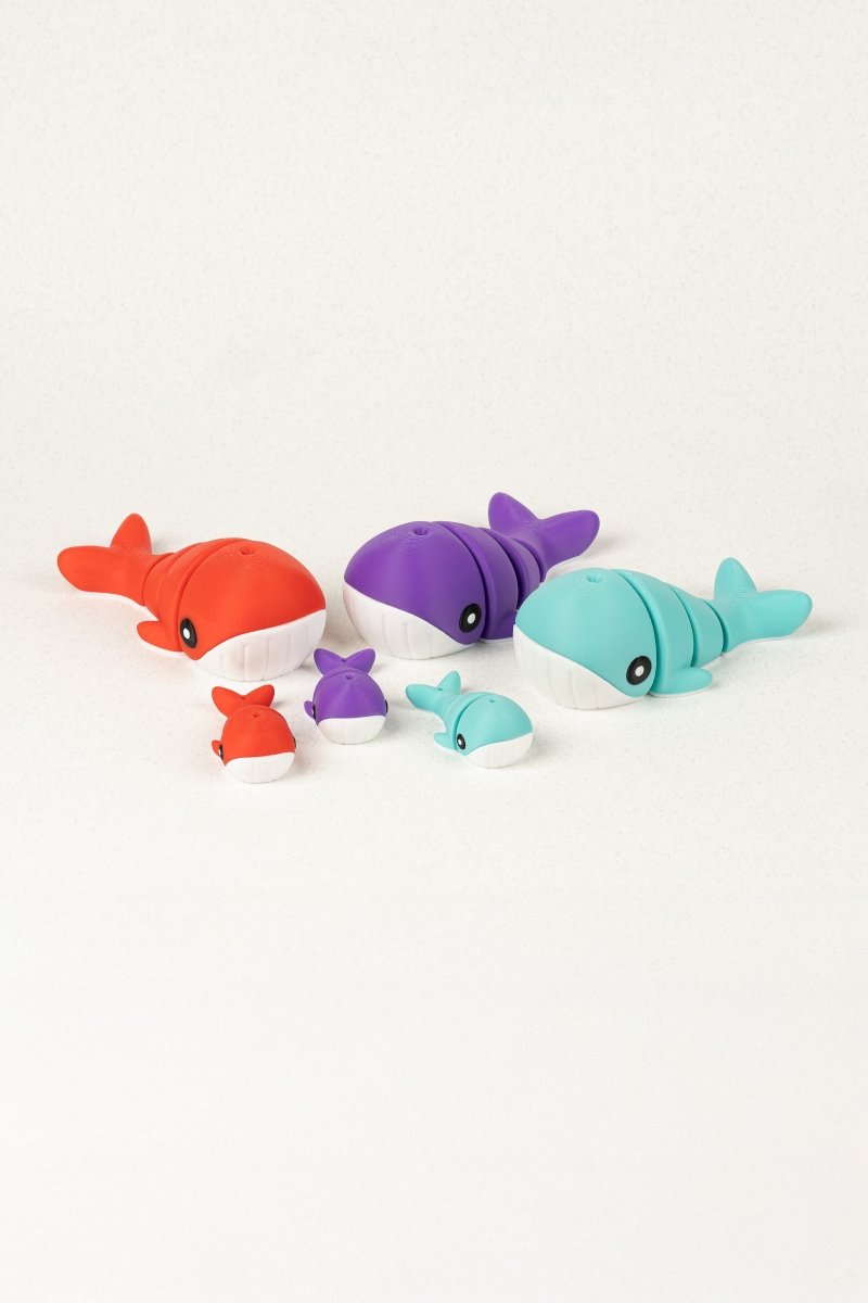 Родина китів - Education Cards