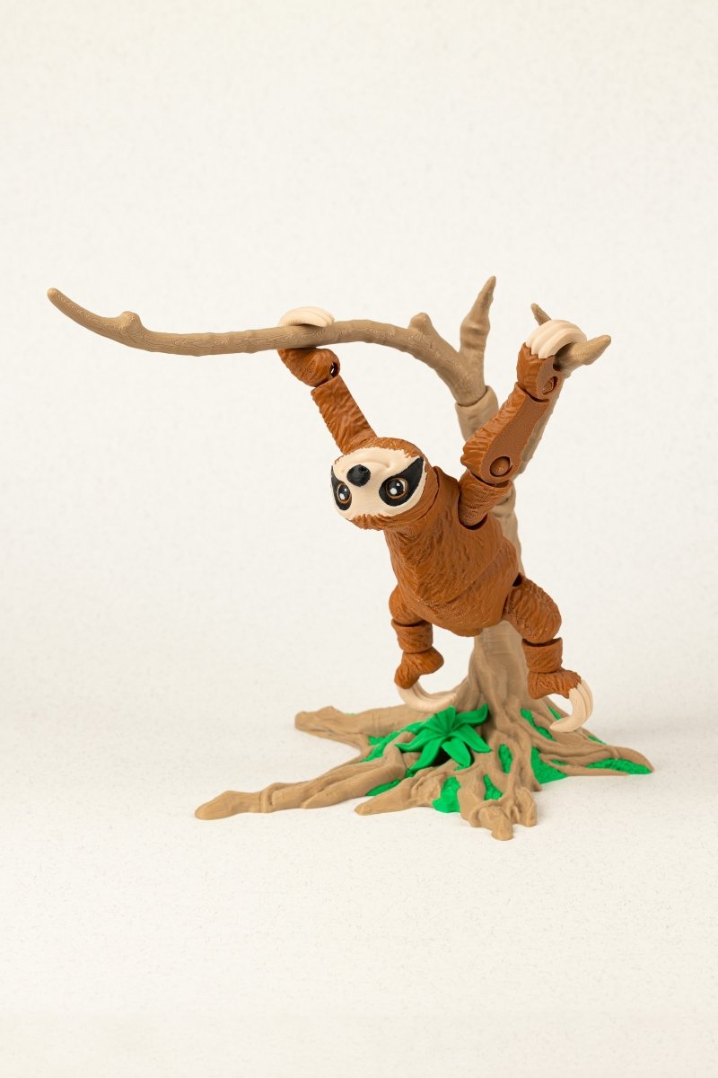 Лінивець на дереві - Education Cards