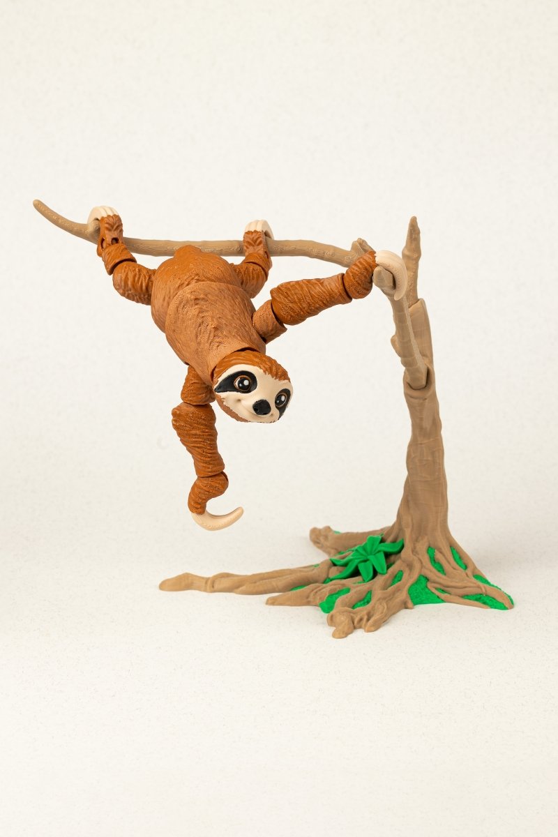 Лінивець на дереві - Education Cards