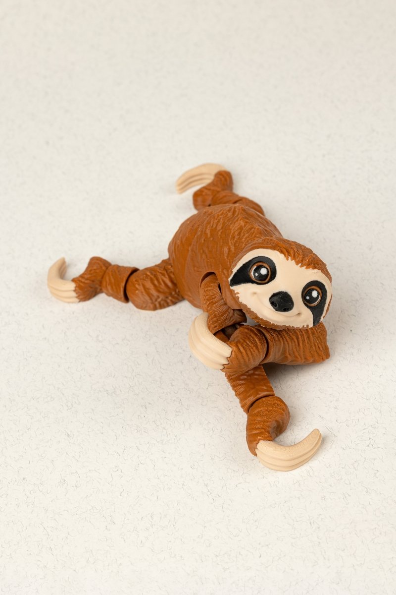 Лінивець на дереві - Education Cards