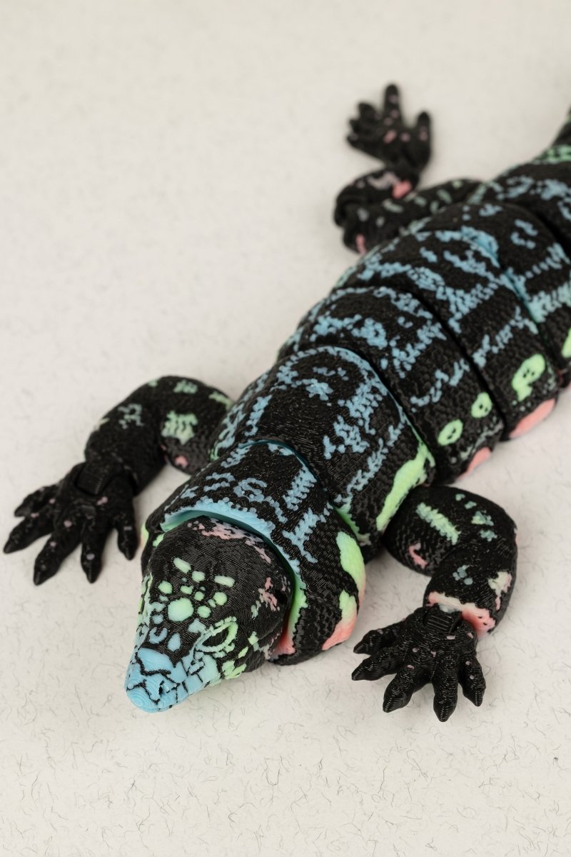 Ящірка Тегу - Education Cards