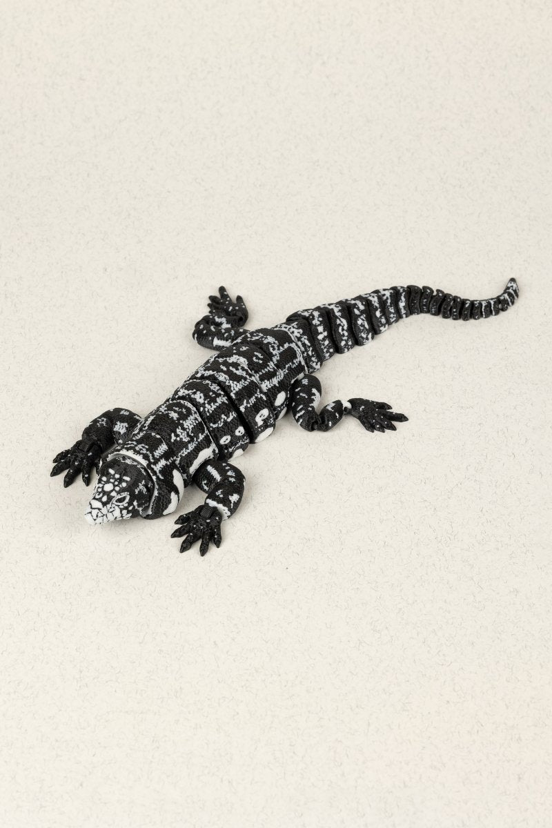 Ящірка Тегу - Education Cards