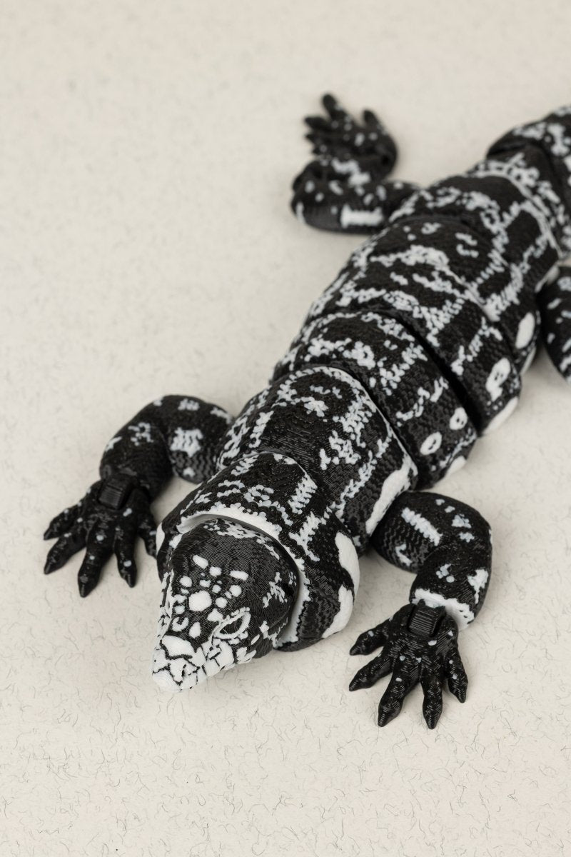 Ящірка Тегу - Education Cards