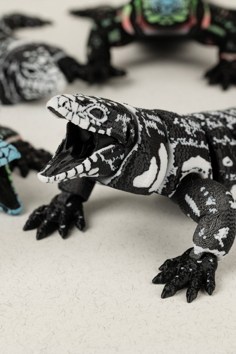 Ящірка Тегу - Education Cards