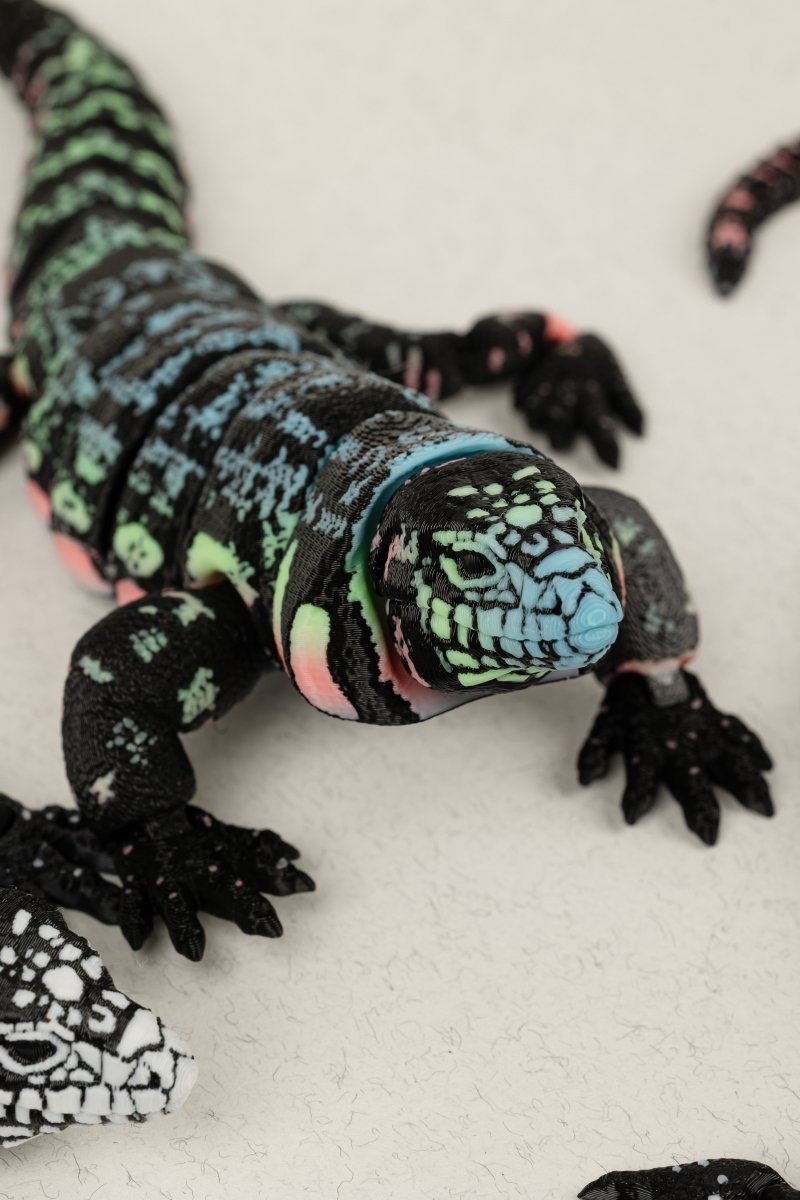 Ящірка Тегу - Education Cards