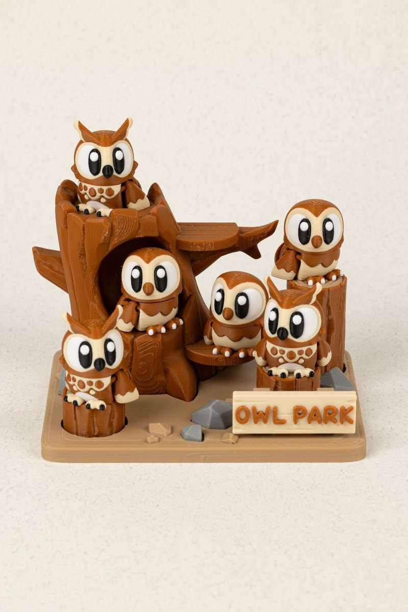 Родина Сов - Education Cards