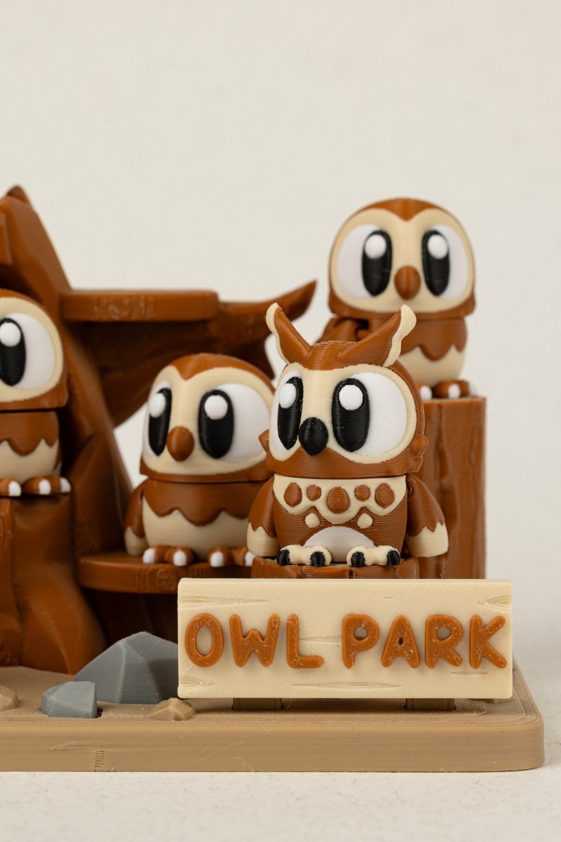 Родина Сов - Education Cards