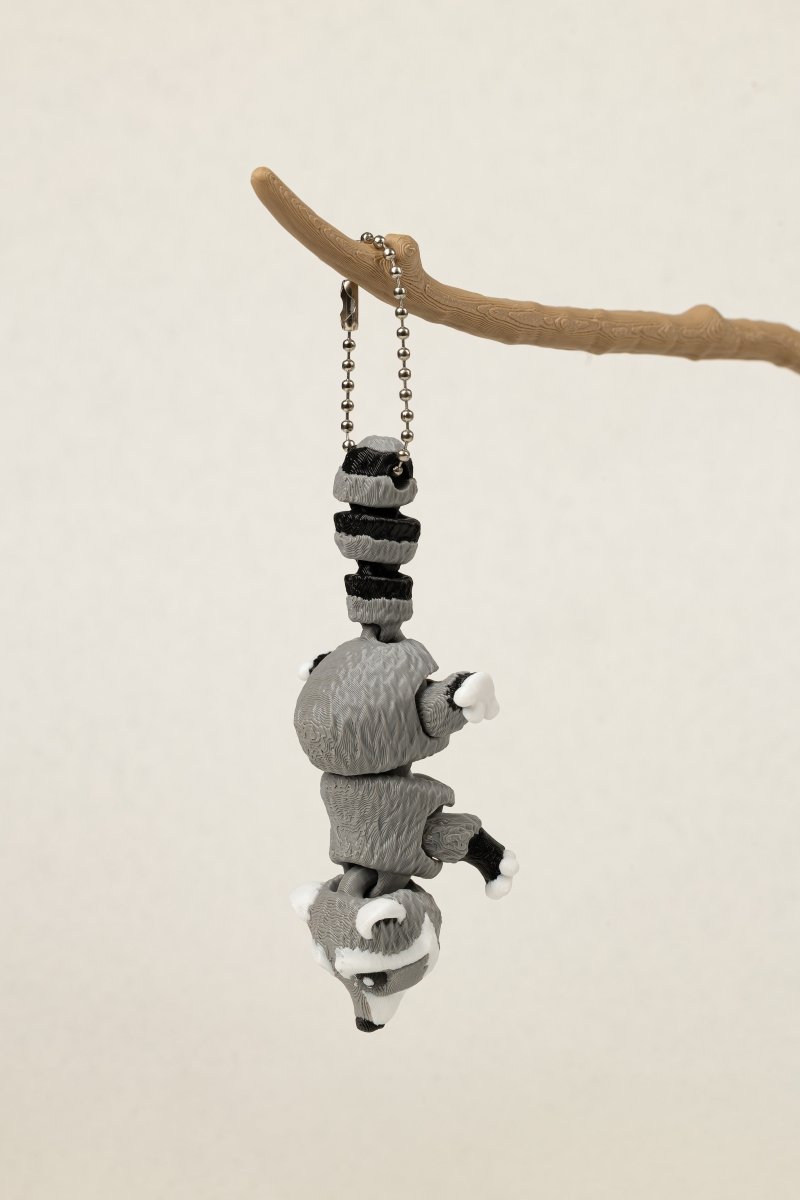 Брелок єнот - Education Cards