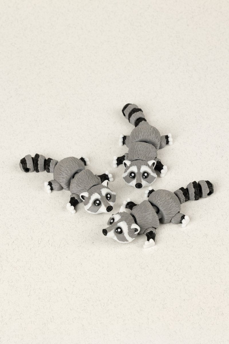 Брелок єнот - Education Cards