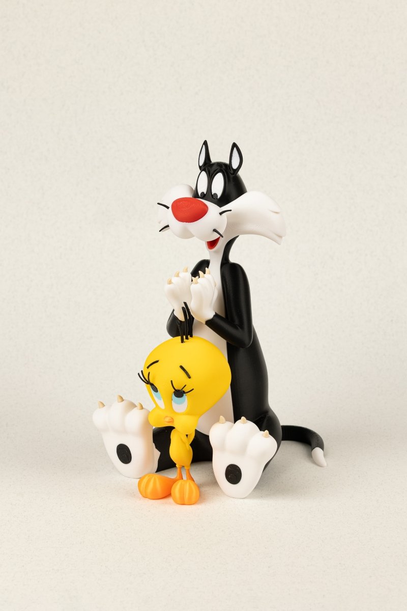 Сільвестр і Твіті - Education Cards