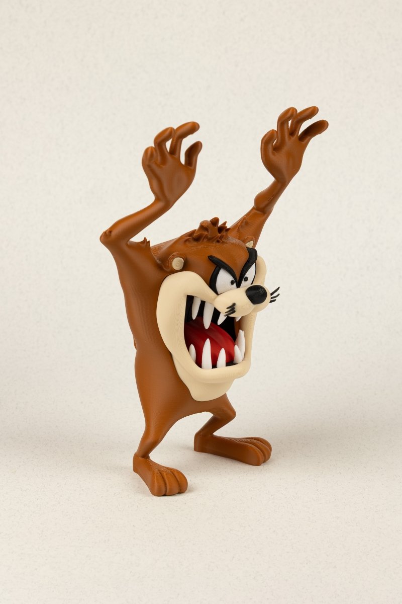 Тасманський диявол - Education Cards