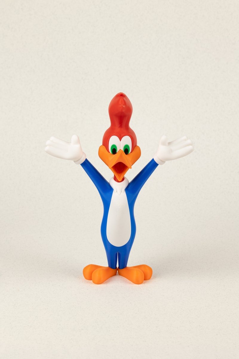 Woody Woodpecker - Education Cards