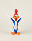 Woody Woodpecker - Education Cards