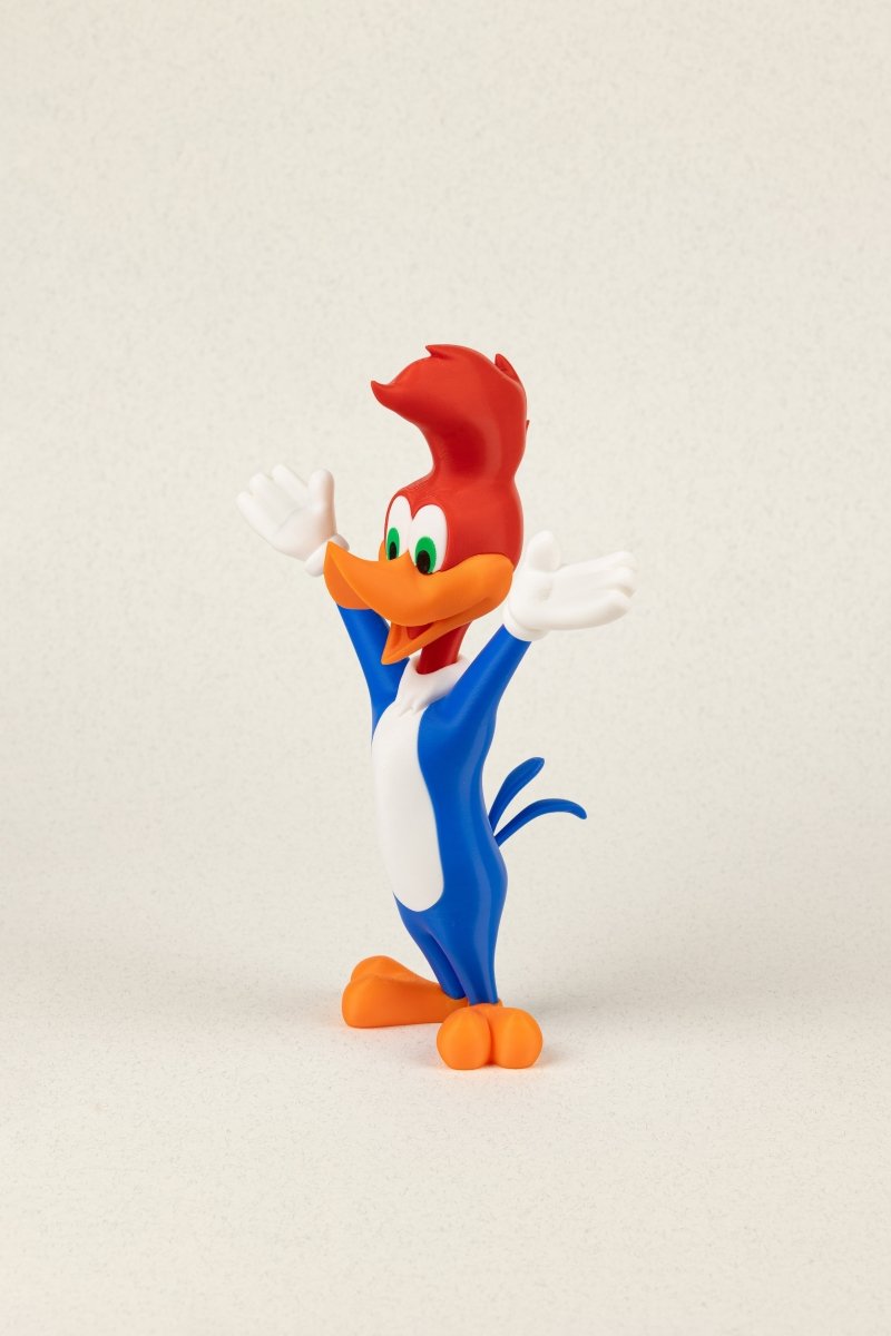 Woody Woodpecker - Education Cards