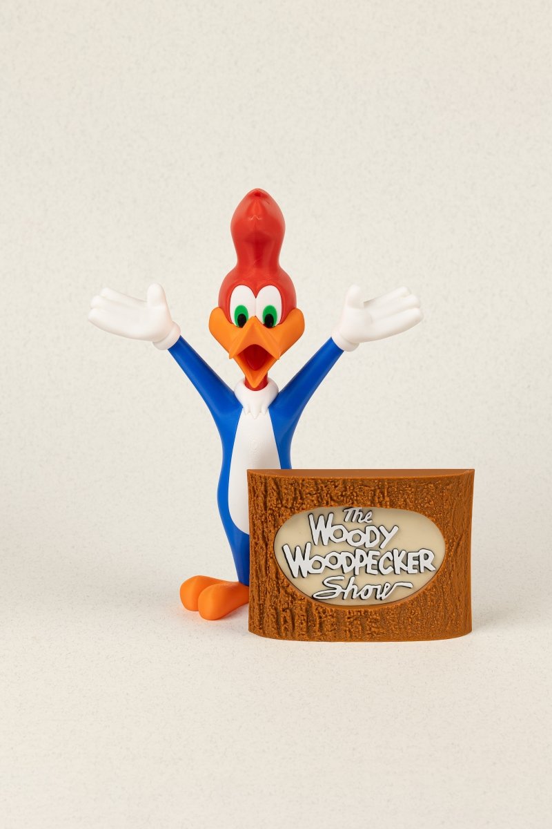 Woody Woodpecker - Education Cards