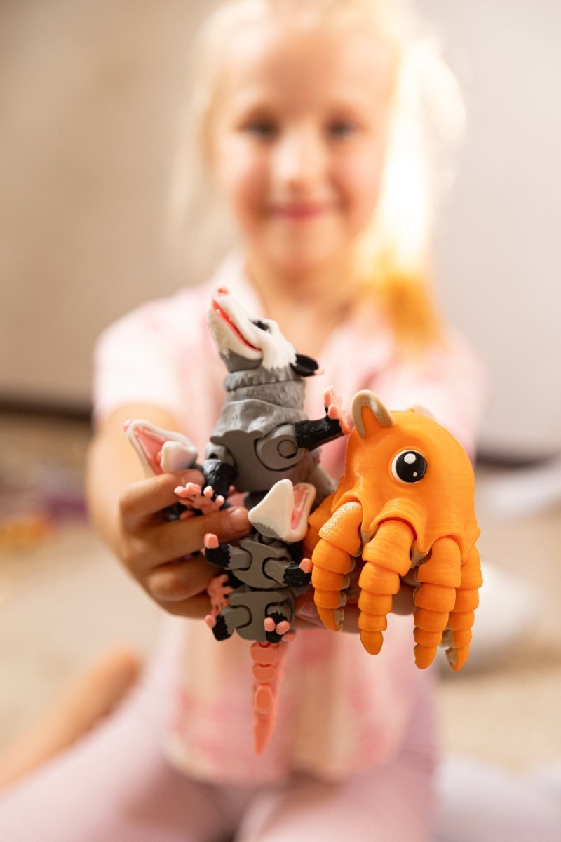 Родина рухливих восьминожків - Education Cards