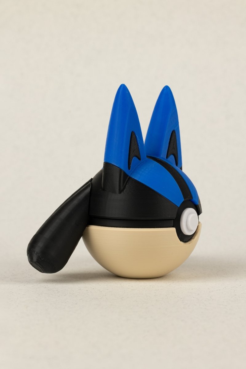 Lucario - Education Cards