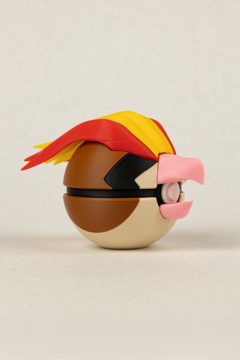 Pidgeot - Education Cards