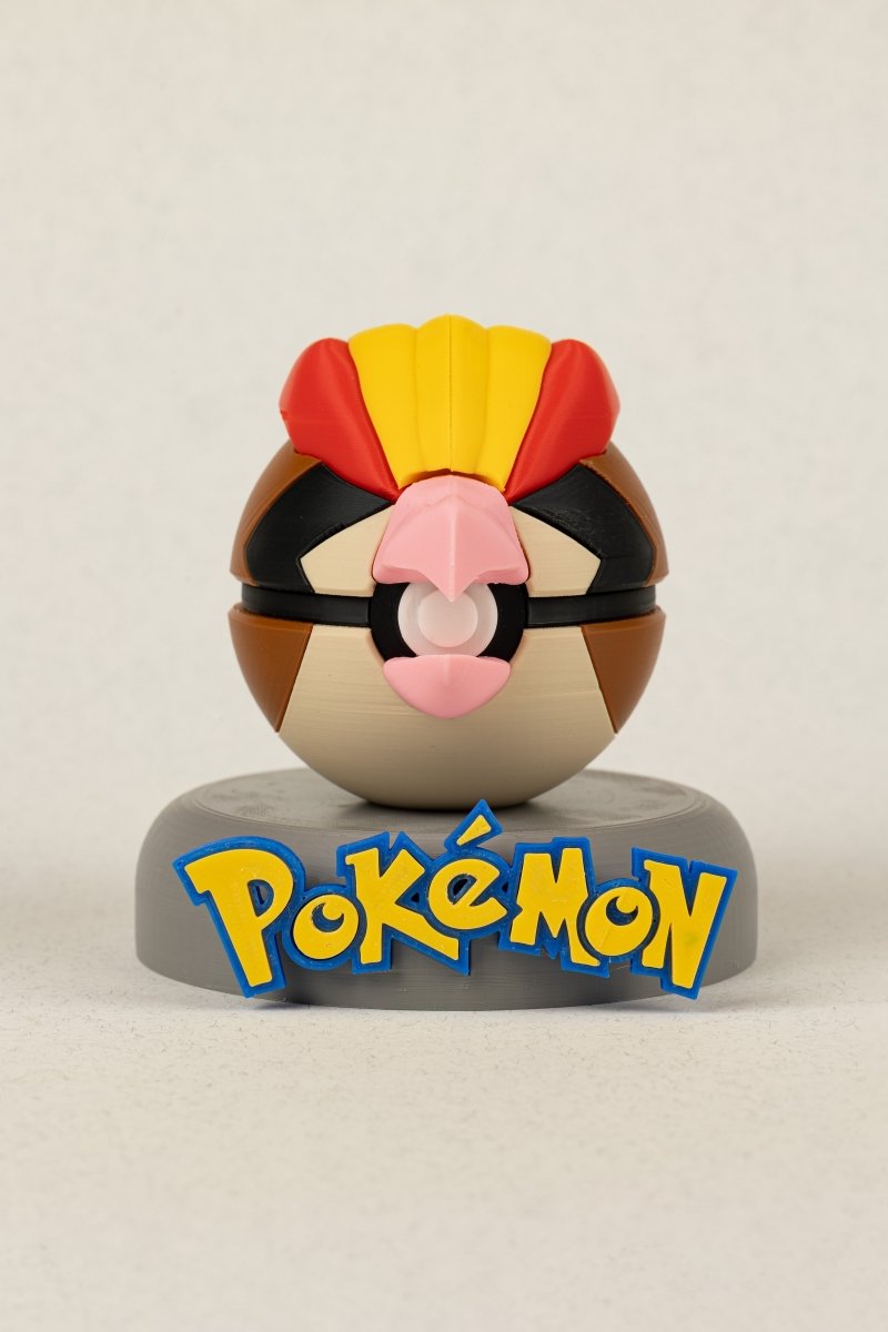 Pidgeot - Education Cards