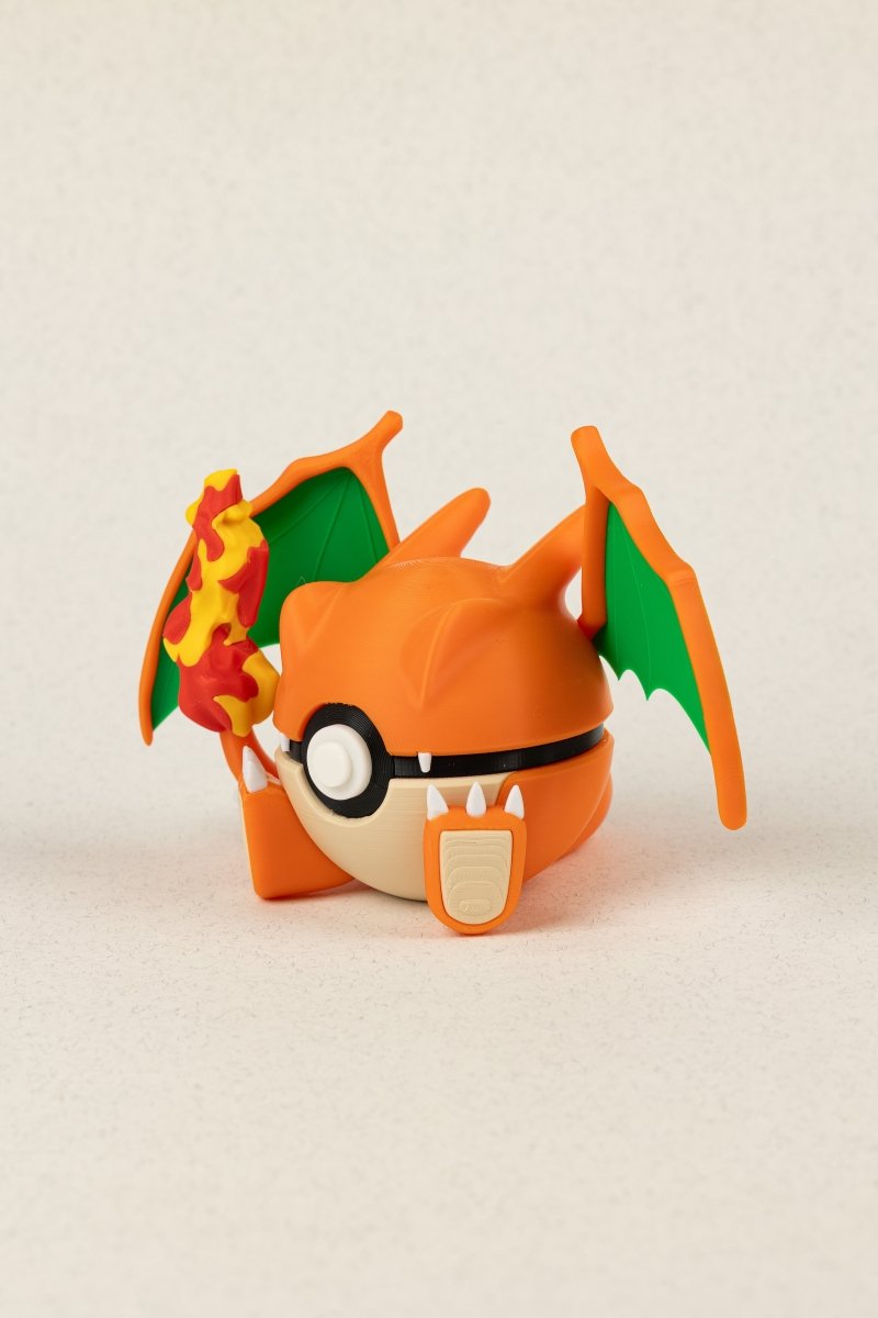 Charizard - Education Cards