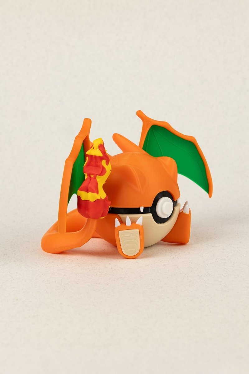 Charizard - Education Cards