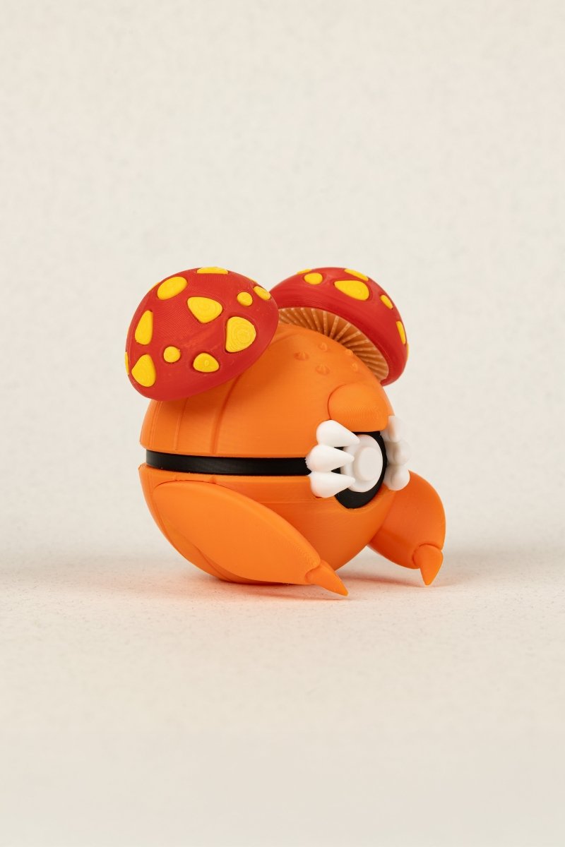 Paras - Education Cards