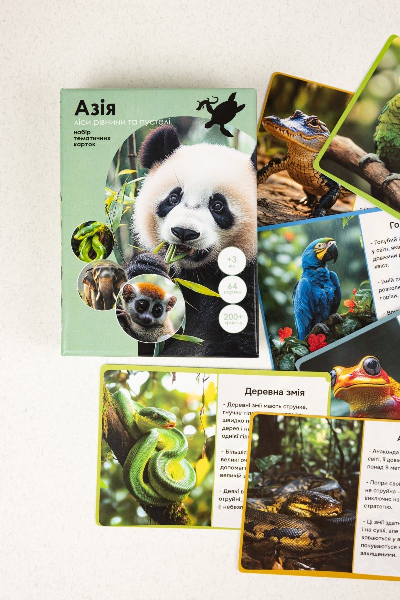 Азія - Education Cards