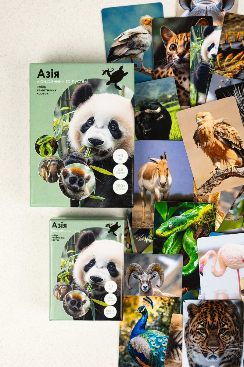 Азія - Education Cards