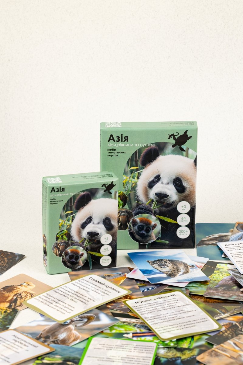 Азія - Education Cards