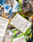 Азія - Education Cards