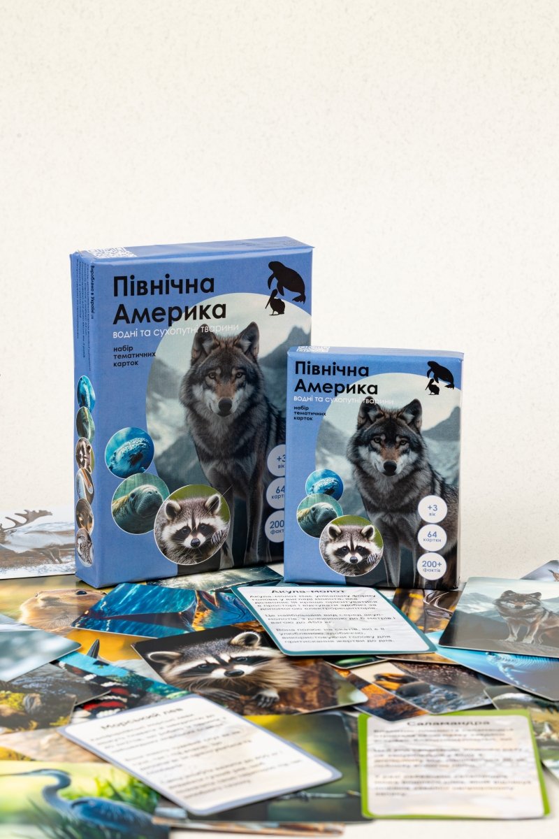 Північна Америка - Education Cards