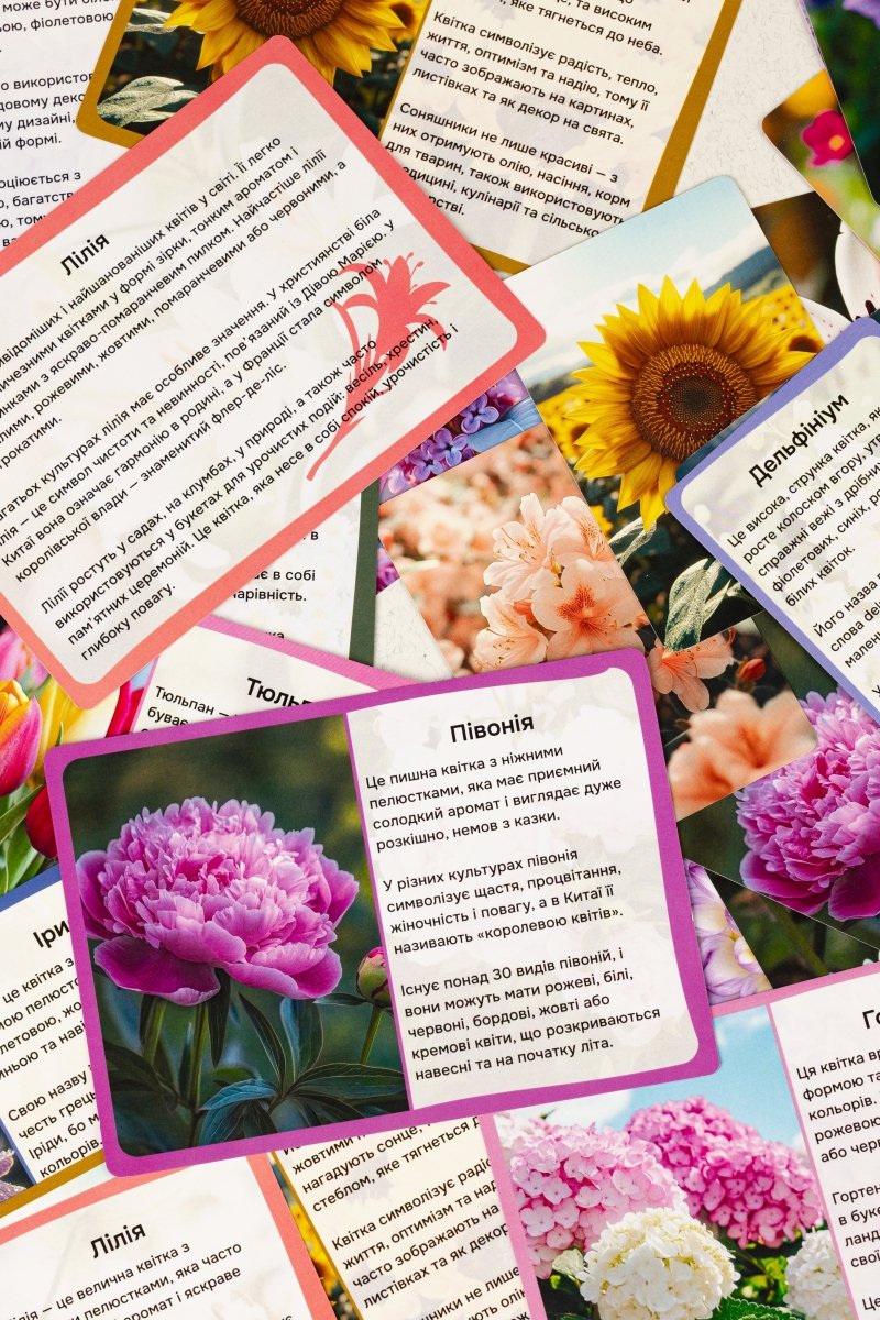 Квіти - Education Cards