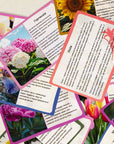 Квіти - Education Cards