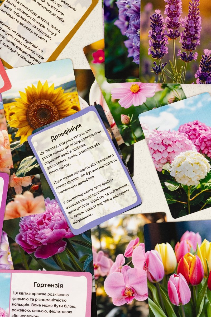 Квіти - Education Cards