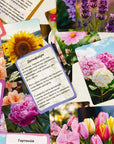 Квіти - Education Cards