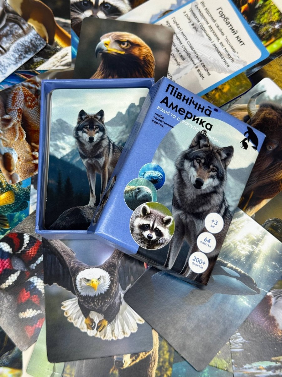 Північна Америка - Education Cards