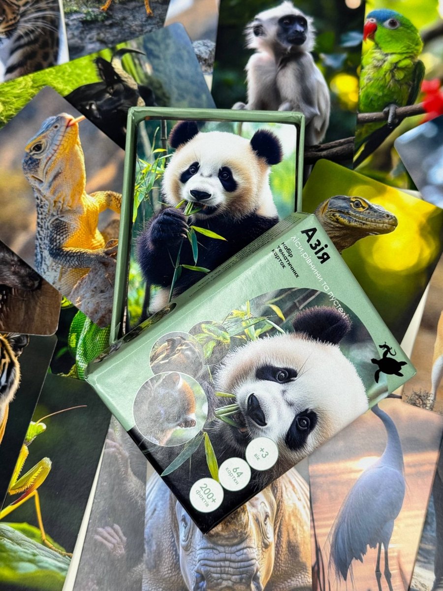 Азія - Education Cards