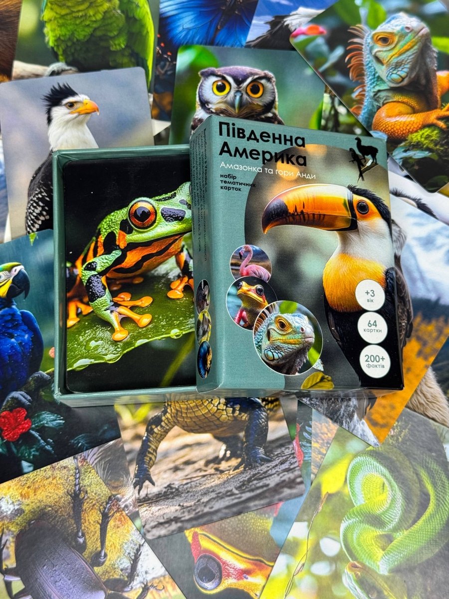 Південна Америка - Education Cards