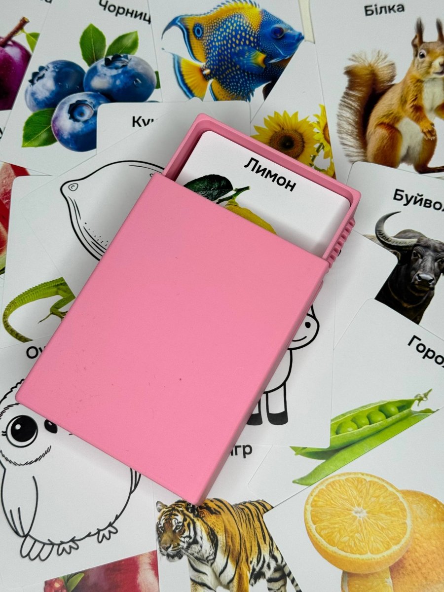 100 перших слів + розмальовки - Education Cards