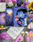 Квіти - Education Cards