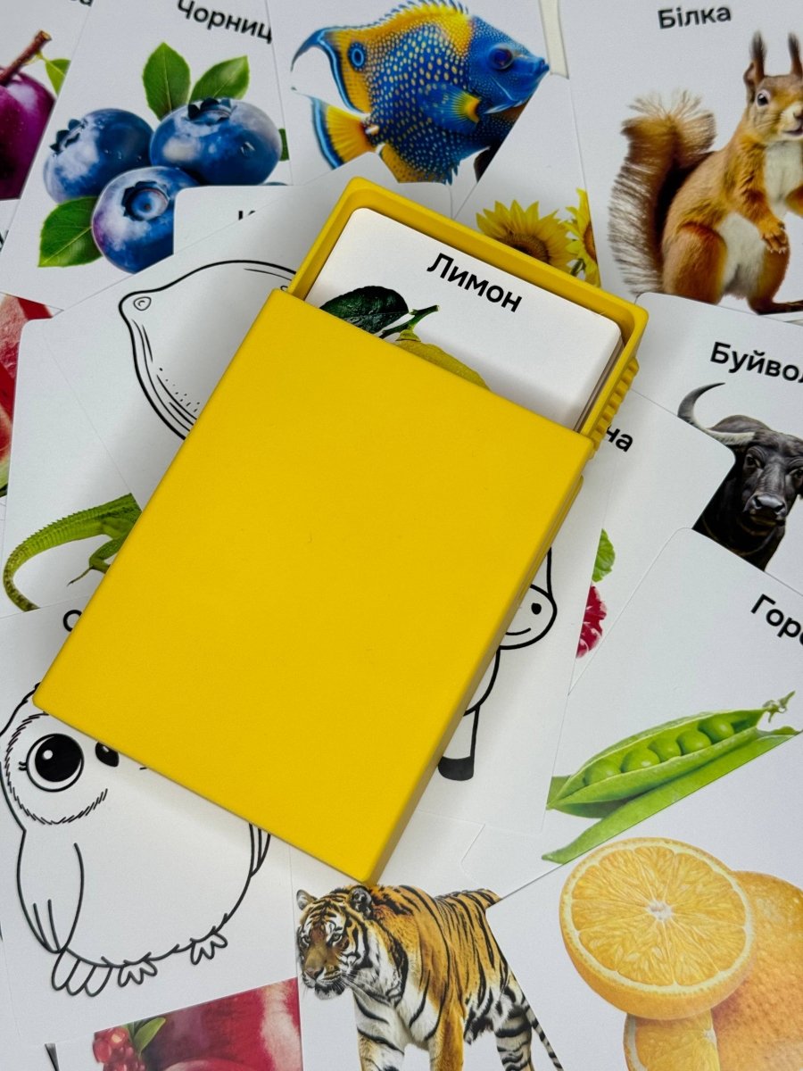 100 перших слів + розмальовки - Education Cards