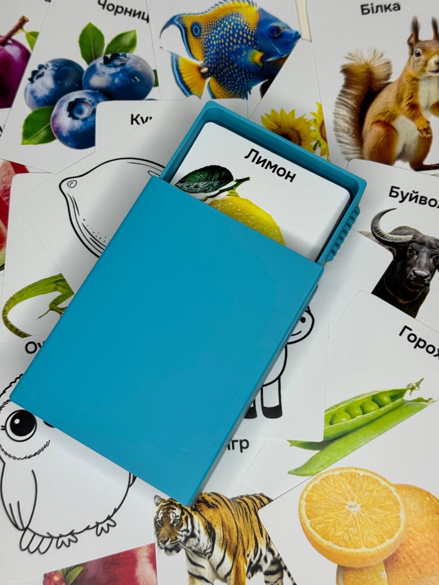 100 перших слів + розмальовки - Education Cards