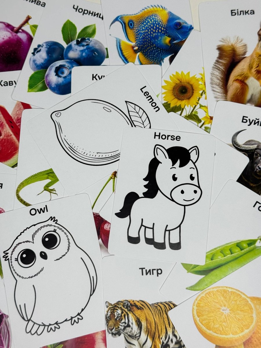 100 перших слів + розмальовки - Education Cards