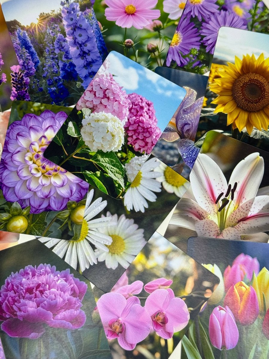 Квіти - Education Cards